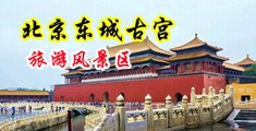 乱伦日B视频糸列中国北京-东城古宫旅游风景区